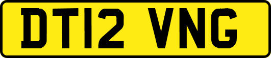 DT12VNG