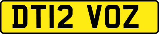 DT12VOZ