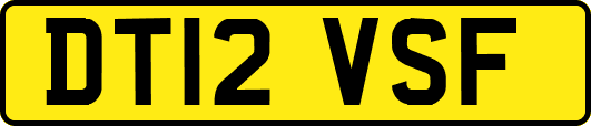 DT12VSF
