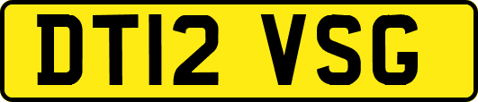 DT12VSG