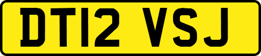 DT12VSJ