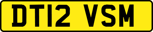 DT12VSM