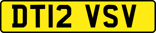 DT12VSV