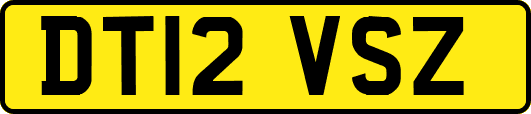 DT12VSZ