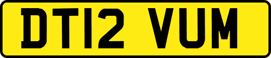 DT12VUM