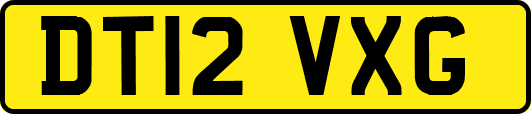 DT12VXG