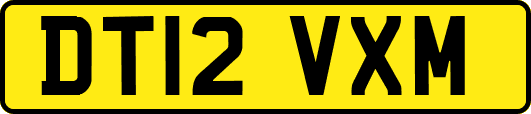 DT12VXM