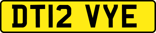 DT12VYE