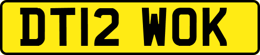 DT12WOK