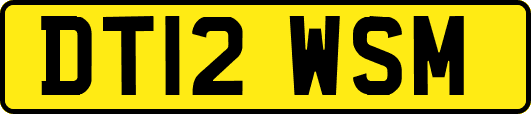 DT12WSM