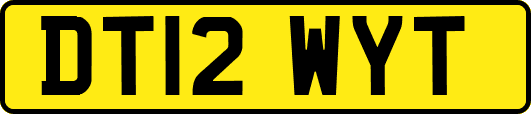 DT12WYT