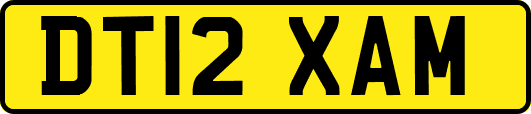 DT12XAM