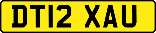 DT12XAU