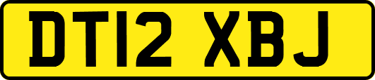 DT12XBJ