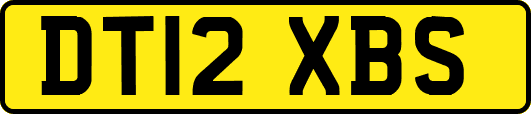 DT12XBS
