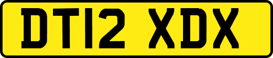 DT12XDX
