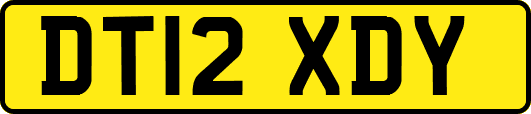 DT12XDY