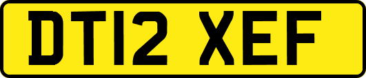 DT12XEF