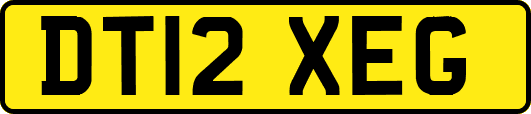 DT12XEG