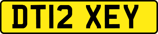 DT12XEY