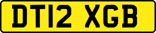 DT12XGB