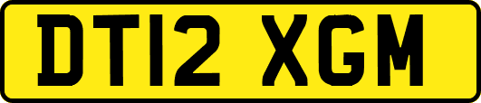 DT12XGM