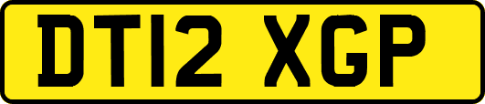 DT12XGP