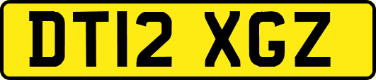 DT12XGZ