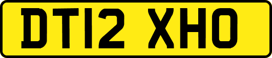 DT12XHO