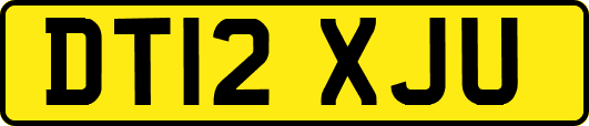 DT12XJU