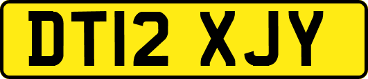 DT12XJY