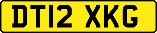 DT12XKG