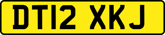 DT12XKJ
