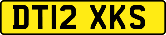 DT12XKS
