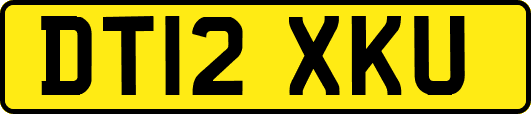 DT12XKU