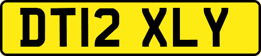 DT12XLY