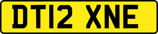 DT12XNE