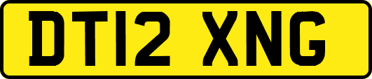 DT12XNG