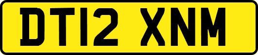DT12XNM