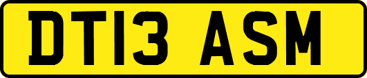 DT13ASM