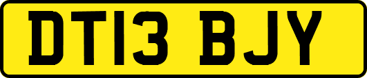 DT13BJY