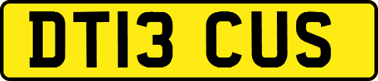 DT13CUS