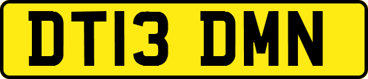 DT13DMN