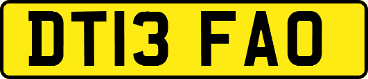 DT13FAO