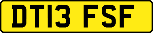 DT13FSF