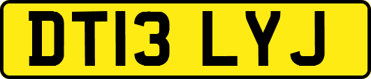 DT13LYJ