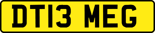 DT13MEG