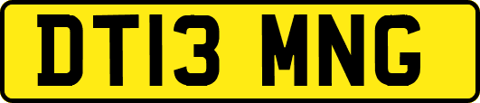 DT13MNG
