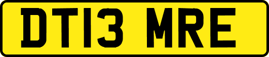 DT13MRE