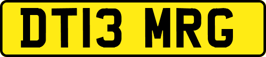 DT13MRG